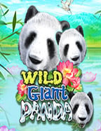 sbobet บอล สดเกม สล็อต ออนไลน์ แคน ดี้ เล่นง่ายๆ พร้อมโกยกำไร